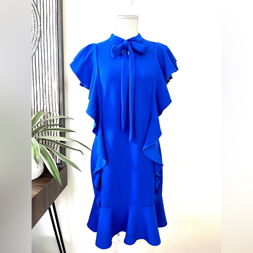 Blue Ruffle Front Dress - Picture 2 of 9